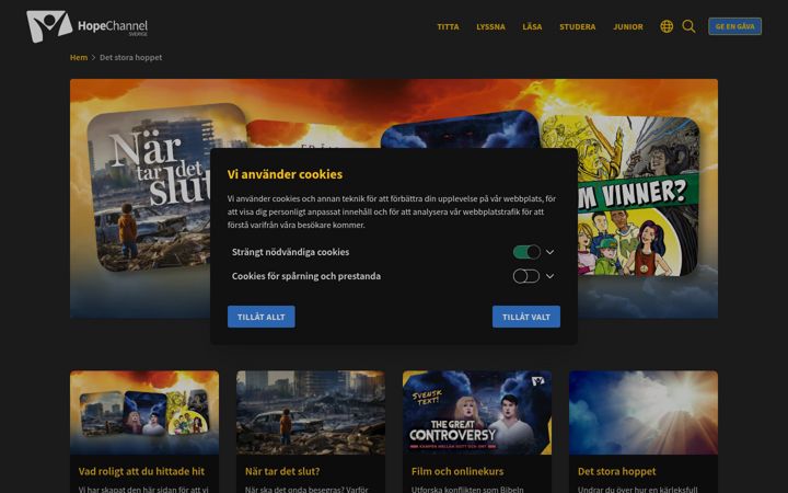 Screenshot ta' den-stora-striden.se