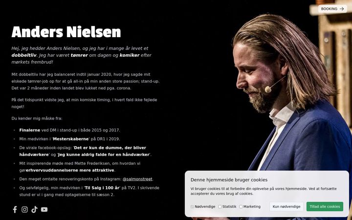 Snímek obrazovky denandersnielsen.dk