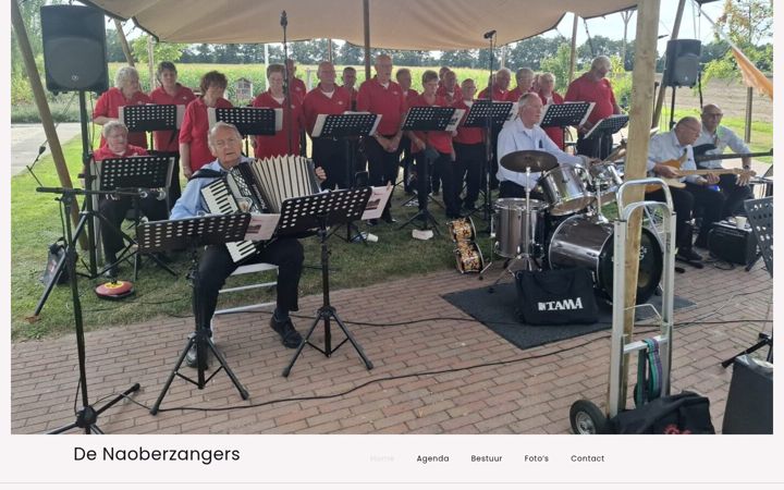 Screenshot di denaoberzangers.nl