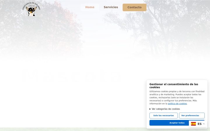 Screenshot of denavarro.net