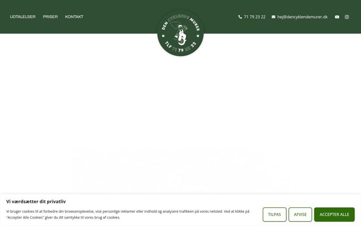 Screenshot of dencyklendemurer.dk