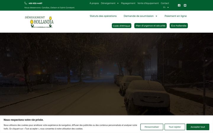 Screenshot of deneigement.com