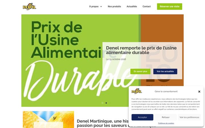 Screenshot of denelmartinique.com