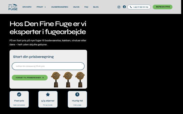 Snímek obrazovky denfinefuge.dk