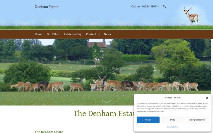 Screenshot of denhamestate.co.uk
