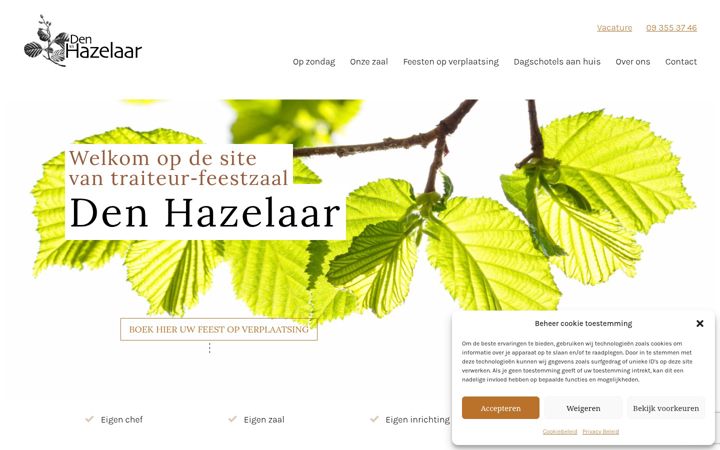 Screenshot of denhazelaar.be
