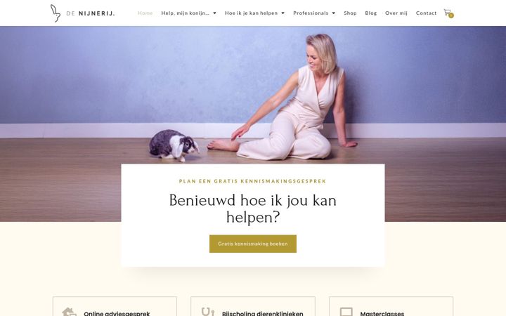 Screenshot stránky denijnerij.nl