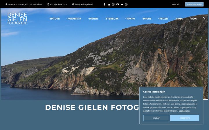 Screenshot of denisegielen.nl