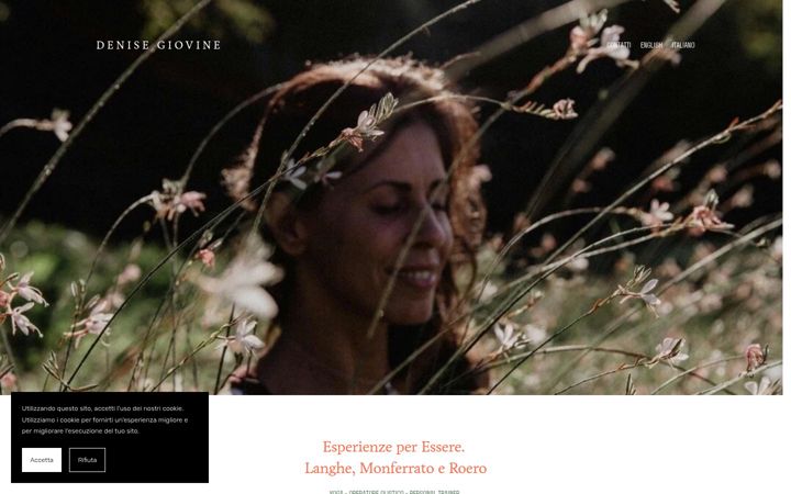 Screenshot of denisegiovine.com