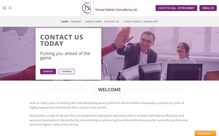 Screenshot of denisenathanconsultancy.co.uk
