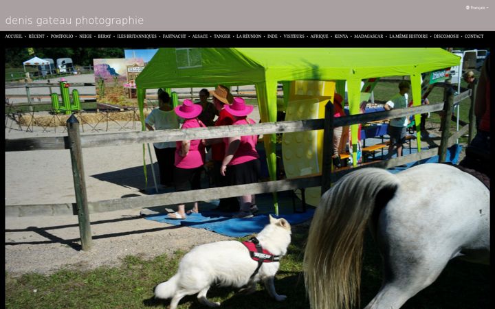 Screenshot of denisgateauphotographie.com