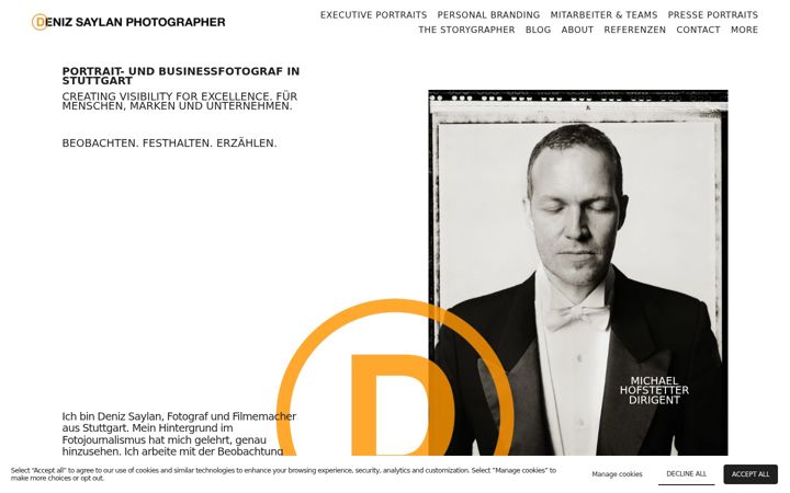 Screenshot of denizsaylan.com