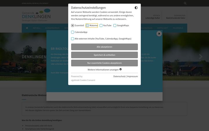 Screenshot of denklingen.de