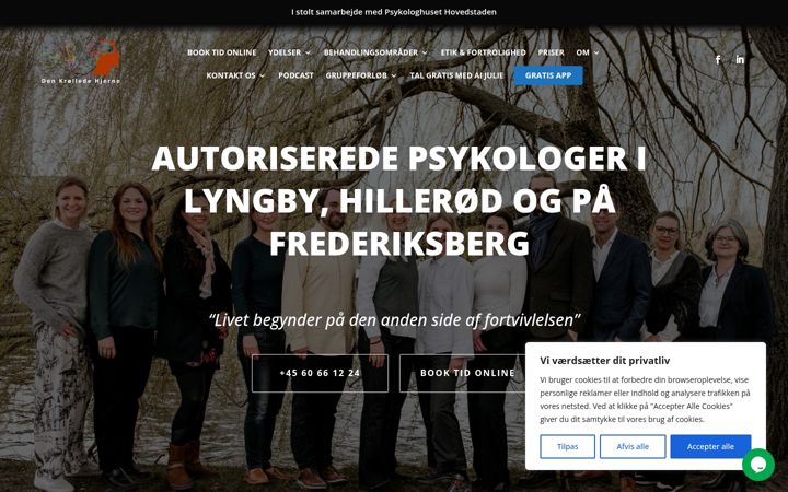Snímek obrazovky denkroelledehjerne.dk