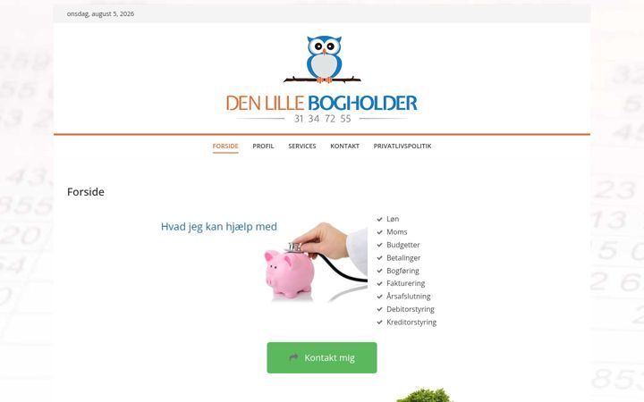 Screenshot του denlille-bogholder.dk