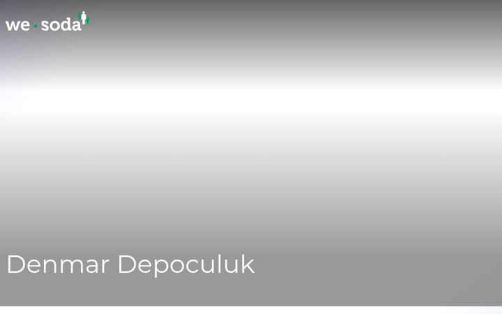 Zrzut ekranu denmardepoculuk.com.tr