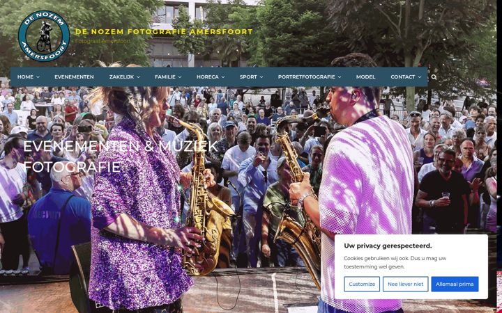 Screenshot of denozem.com