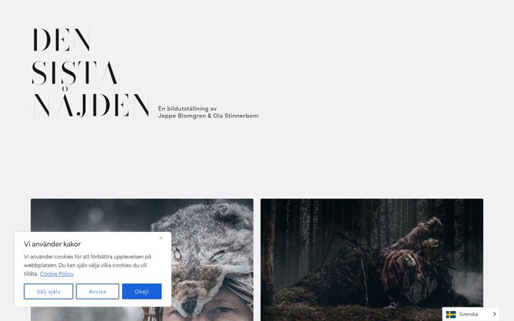 Screenshot of densistanajden.se
