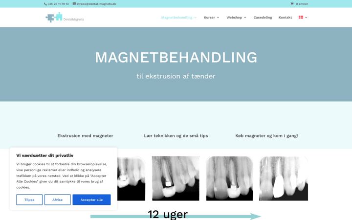 Captura de pantalla de dental-magnets.dk