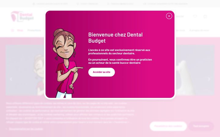 Ekraanipilt saidist dentalbudget.fr