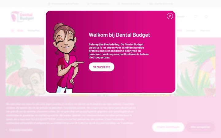 Screenshot ta' dentalbudget.nl