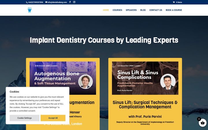 Screenshot of dentaliceberg.com