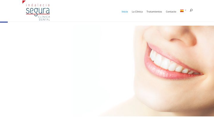 Skærmbillede af dentalsegura.com