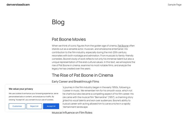 Screenshot of denversteadicam.com