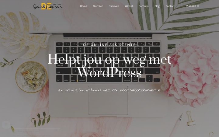 Screenshot of deonlineassistente.nl
