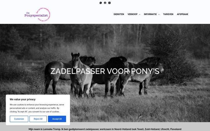 Екранна снимка на deponyspecialist.nl