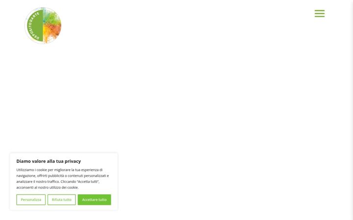 Screenshot of depositodarte.it