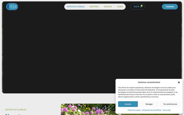 Screenshot of depositoflexible.com