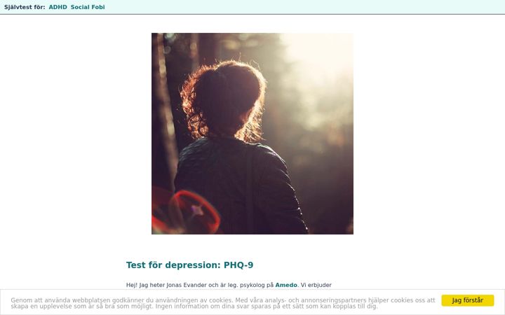 Screenshot of depressions-test.se