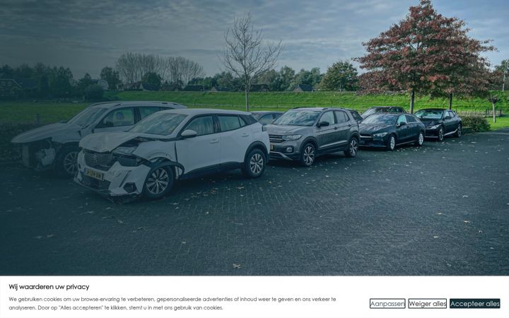 Snímek obrazovky deputterautomotive.nl