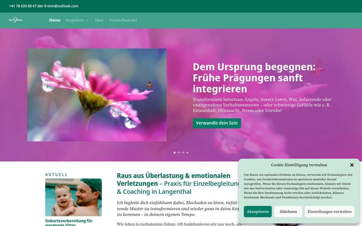 Screenshot of der-9-sinn.ch