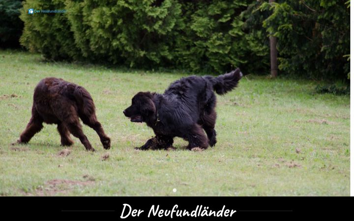 Zrzut ekranu der-neufundlaender.de
