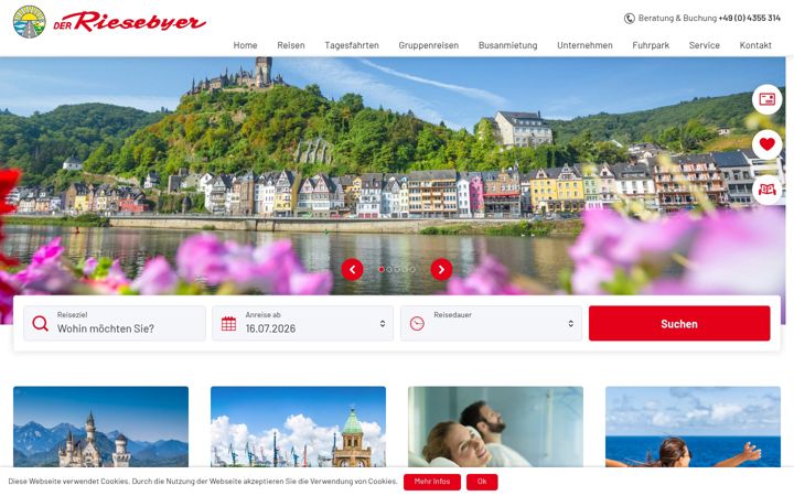 Screenshot of der-riesebyer.de