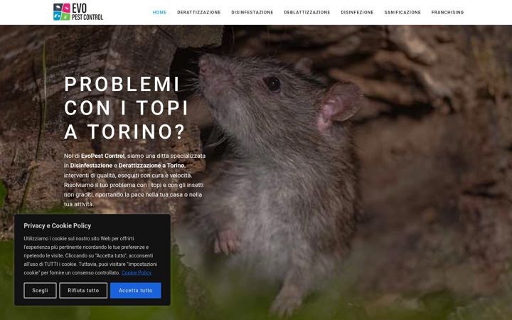 Screenshot of derattizzazione-torino.it