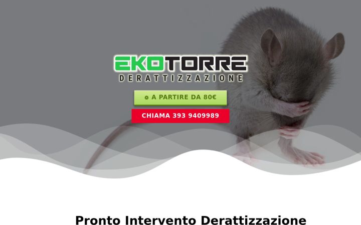 Screenshot of derattizzazioneroma.net