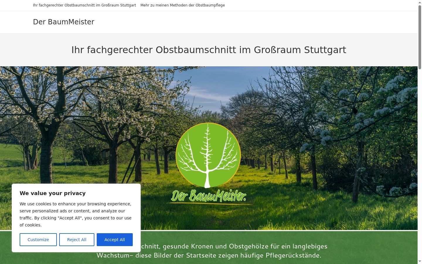 Screenshot del banner di consenso mostrato prima di qualsiasi interazione