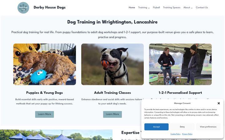 Screenshot of derbyhousedogs.co.uk