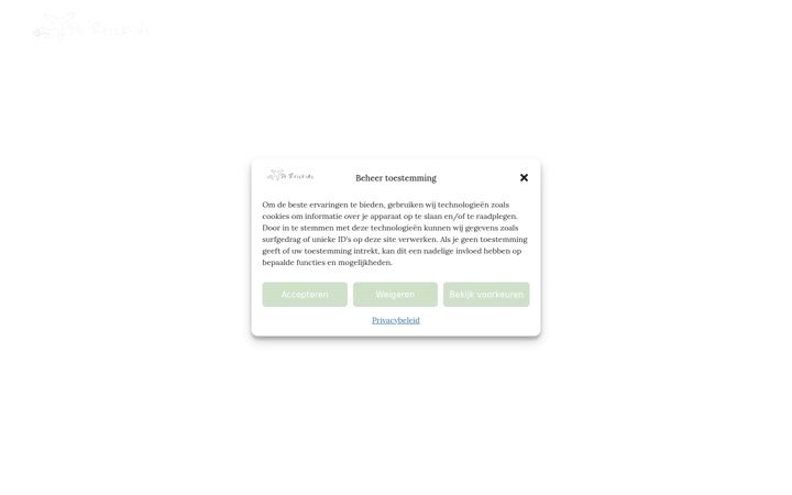 Captura de pantalla de dereiskids.nl