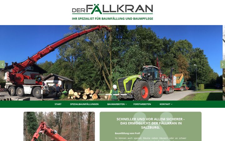 Screenshot of derfaellkran.com