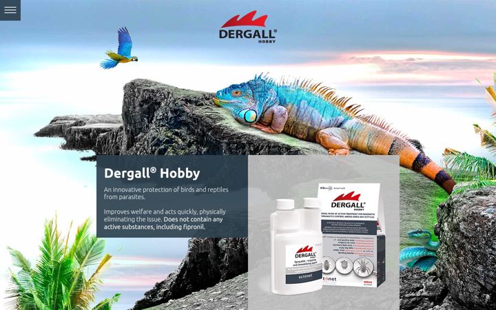 Screenshot of dergall-hobby.com