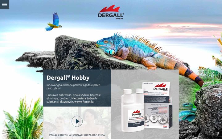 Ekrano kopija dergall-hobby.pl