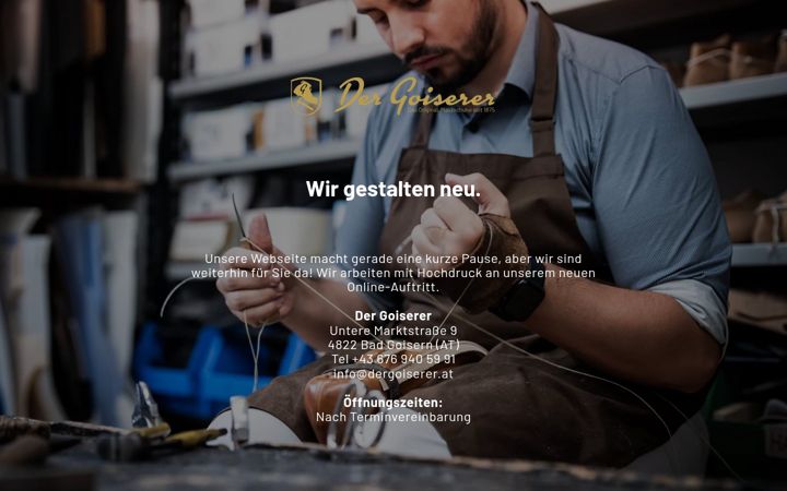 Screenshot of dergoiserer.at