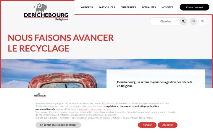 Screenshot of derichebourg-belgium.be