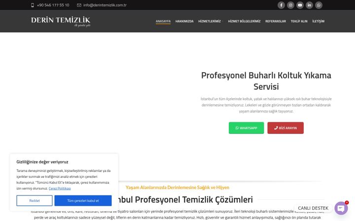 Screenshot ta' derintemizlik.com.tr