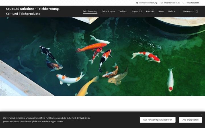 Screenshot of derkoihof.at