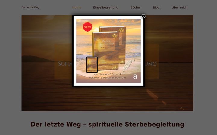 Screenshot of derletzteweg.com